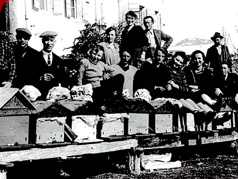 La produzione di miele Rigoni di Asiago nel 1923